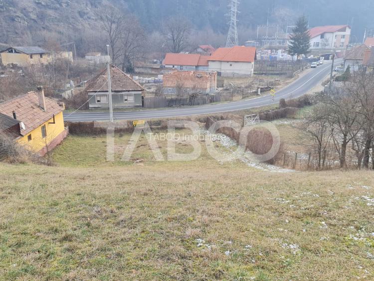 Teren intravilan de vanzare in Sasciori jud Alba - 4