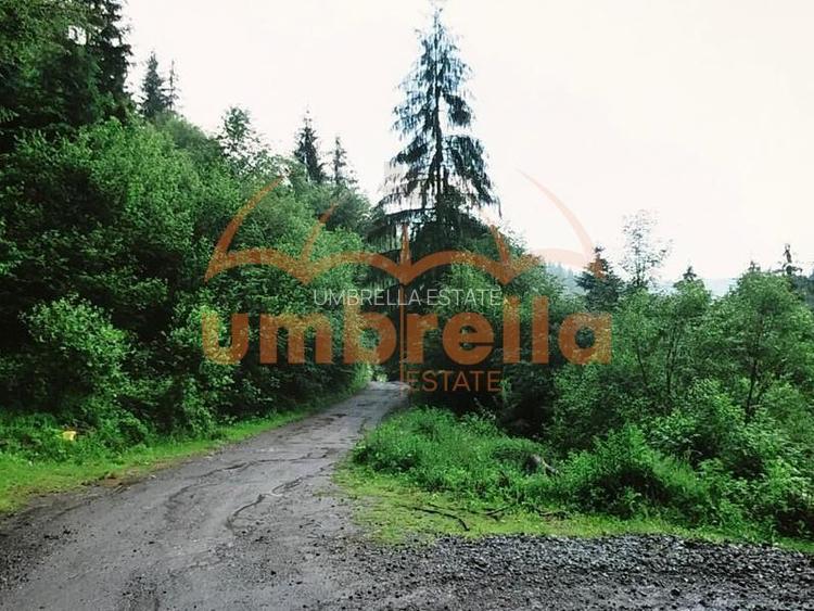 TEREN DE VANZARE 34.201m²/20€ m² IN VARSAG HARGHITA - 8