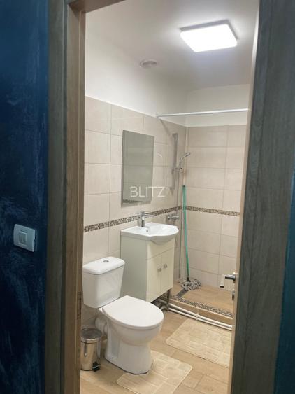 Garsoniera de vanzare, 32.87 mp utili, zona Brazda lui Novac - 8