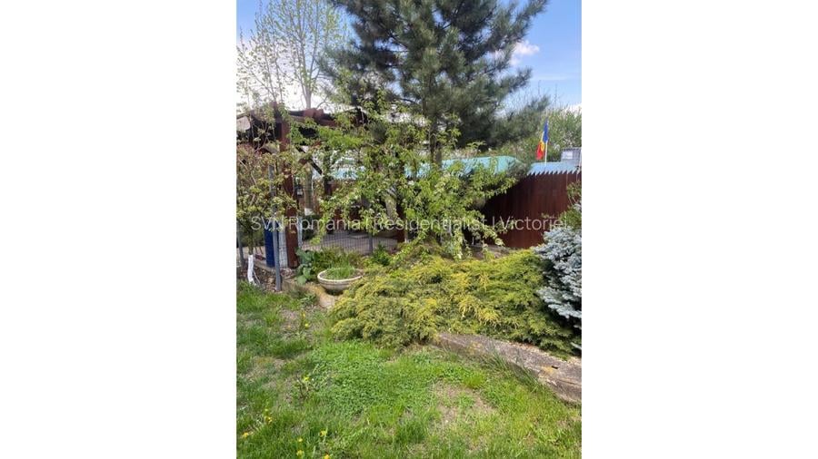 REV2005616 Casa de vacanta - Butimanu - langa lac - 6