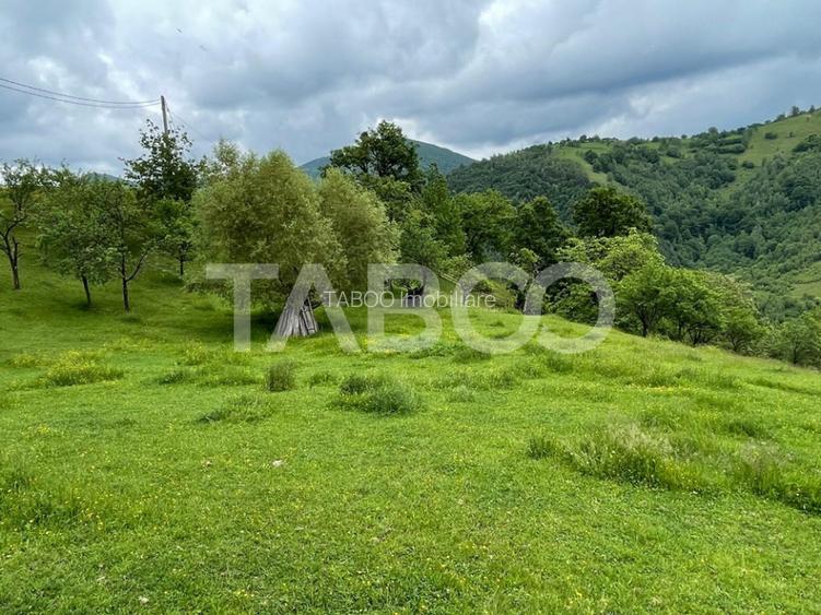 Teren intravilan de vanzare in Martinia de sus - 4