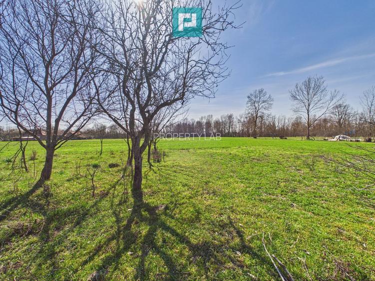 Casă cu teren de 6000 mp în Duboz, Timiș - 2