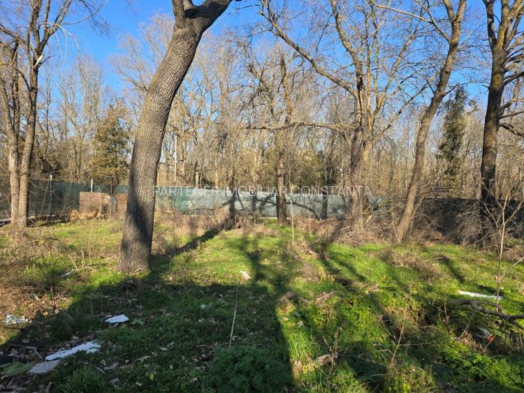 Neptun - Teren construibil in Padurea Comorava - 5