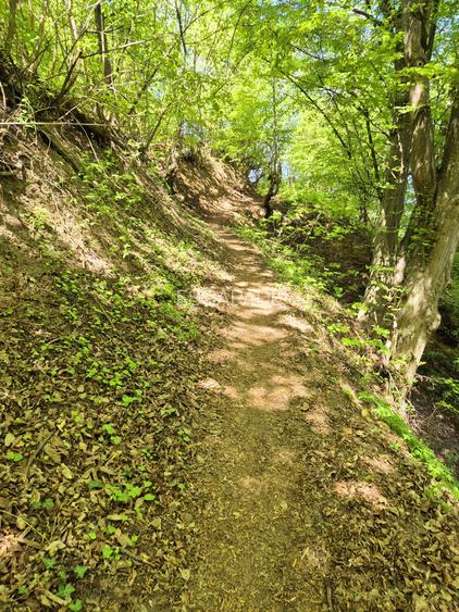 Teren intravilan 1577 mp, Schei Brasov - 5