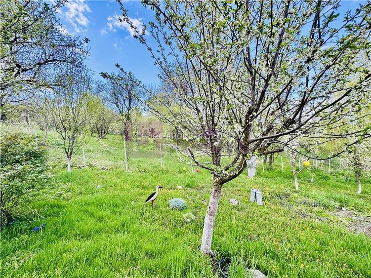Casa individuala de vanzare in Nucet | Rosia | teren 747 mp | livada, pivnita | - 9