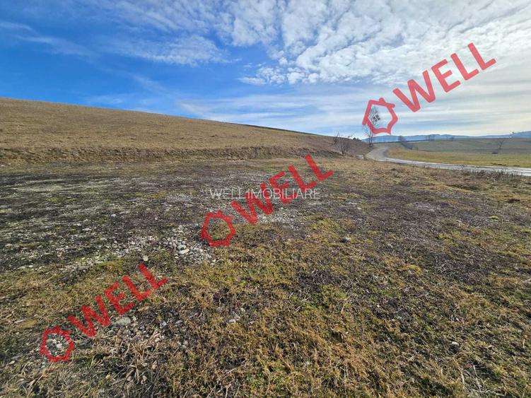 Teren intravilan de vânzare în Barcani! - 6