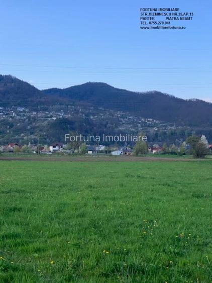 Teren Vadurele, Al.cel Bun - 3