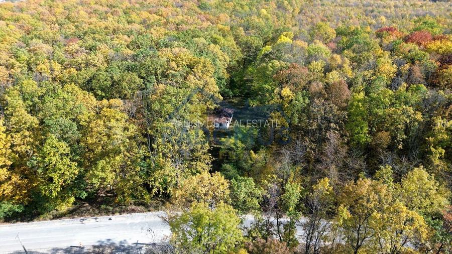 TEREN INTRAVILAN ÎN PĂDURE LA VĂRBILA - PRAHOVA – COMISION 0% - 7