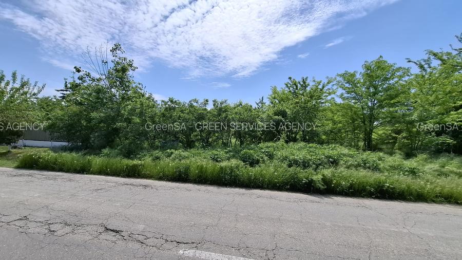 com. Buturugeni, sat Posta, stradal DJ 412A, intravilan, 2720 mp - 8