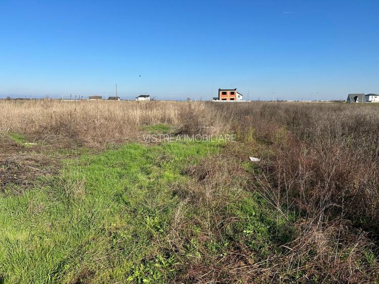 1017 mp Dragomiresti Vale pe strada din spatele Liceului  // toate utilitatile - 6