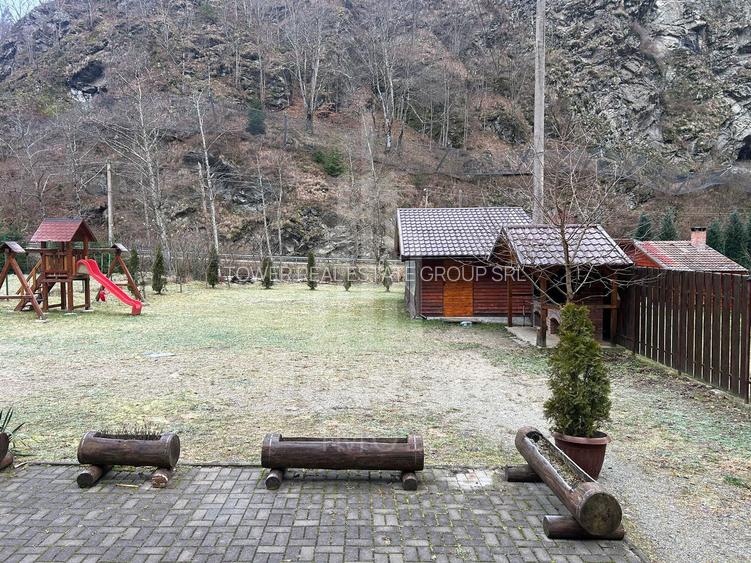 Casă de vacanță în Râu Sadului - 16