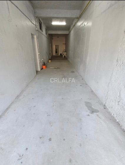 Apartament demisol 201 mp nefinisat+ 85 mp curte proprie - 8