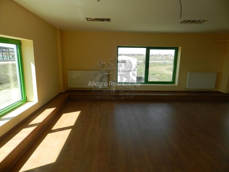 Hala | Soseaua Odai | Mogosoaia | (350 mp depozit / 236 mp birou) - 6