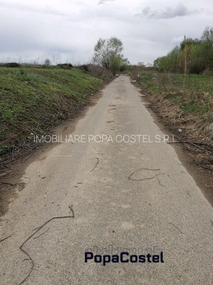 Sisesti str.Dirijorului (in capatul str.Al.Bratu) 1000 mp deschidere 18,27 ml - 6