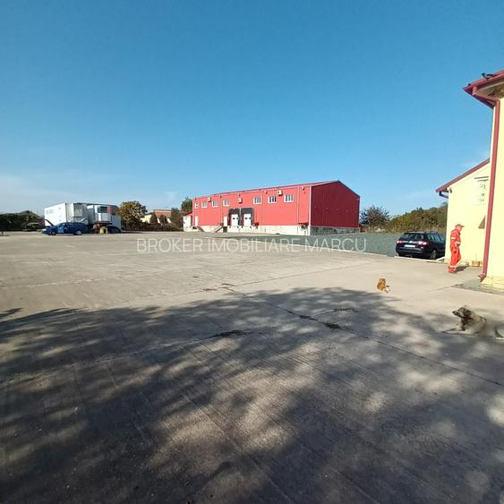 Depozit 600mp Techirghiol - 2