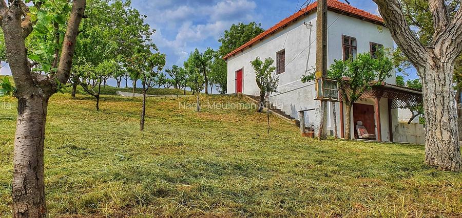 Investiție rară în Bihor - 15