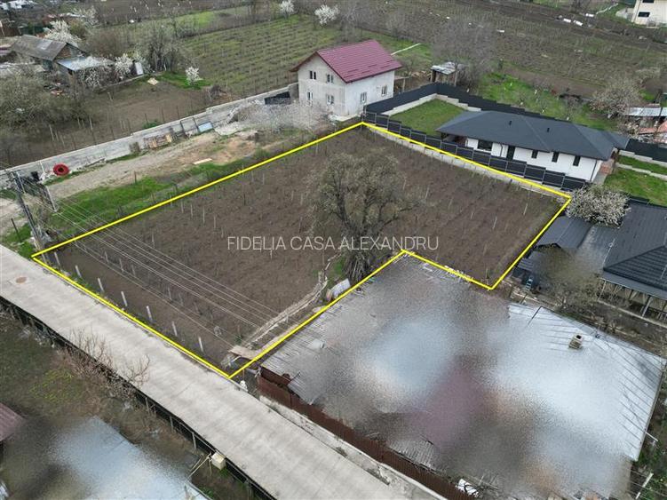 Teren intravilan 842 mp , asfalt , toate utilitatile - Valea Lupului , Iasi - 2