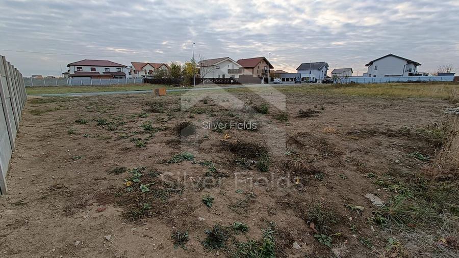 Teren Dumbrăvița cu front generos 24 ml - 4