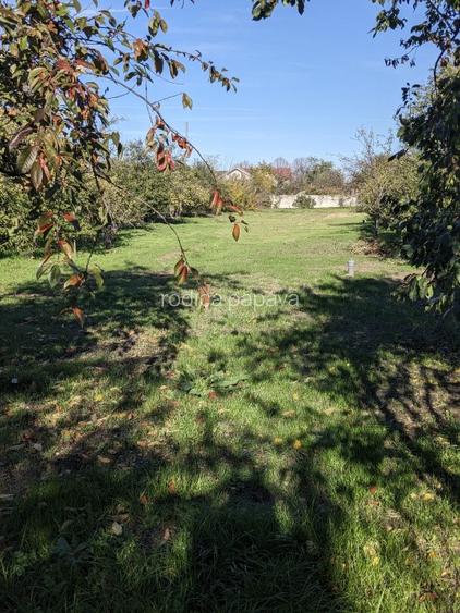 Proprietar,casa renovata ,teren 2000 mp deschidere 113 m,Farcasele Olt - 14