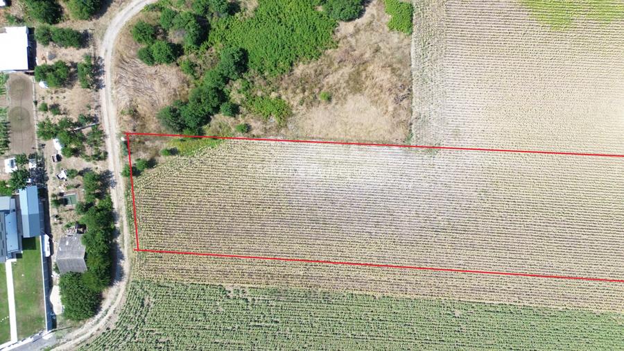 Teren intravilan Darza 1ha langa case deschidere 22 m - 3