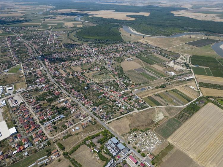 Teren intravilan 6.005 mp in Zădăreni - 16