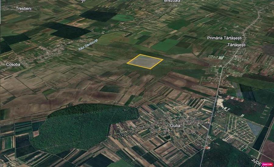 Vanzare teren agricol extravilan Tartasesti - Gulia, Dambovita