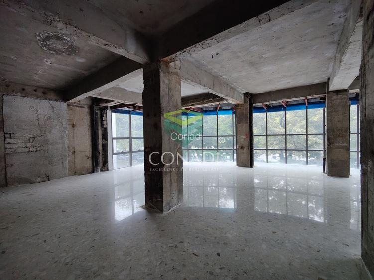 Spatiu birouri mezanin Bd. Unirii colt Lucian Blaga - 25