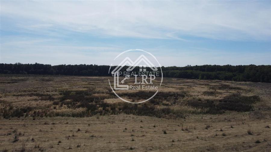 Teren Voluntari-Pipera | 3.700mp | Zonă Pădure & Școli Internaționale - 5