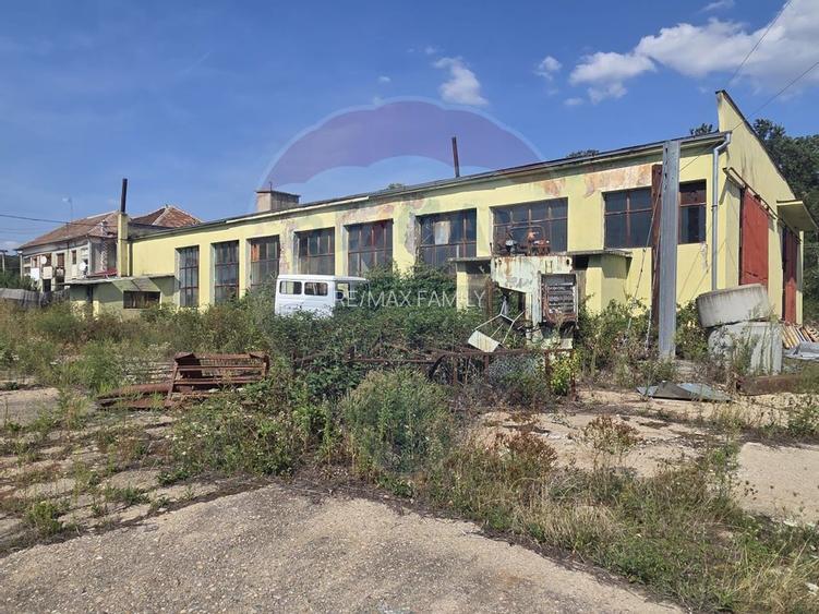 Spațiu industrial 15435 mp. de vânzare in Tinca. - 10