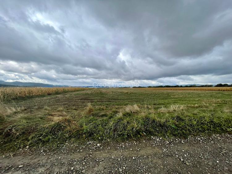 Teren industrial pretabil hala P.U.Z aprobat! - 4