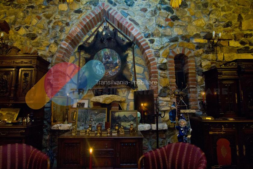  Exclusivitate si Istorie - Castelul Printul Vanator din Turda  - 18