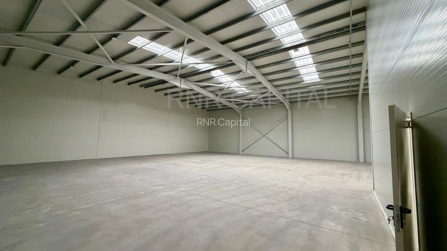 Hala 600 mp | TBM Park Chitila | Curte 460mp | Birouri | TIR - 4