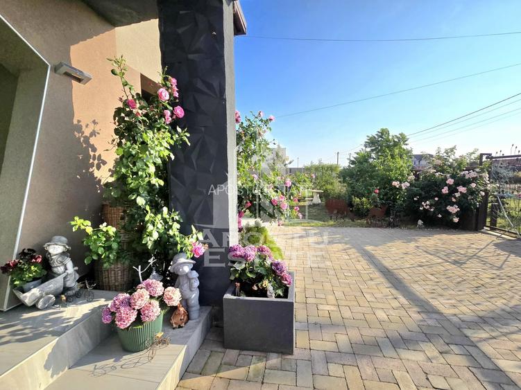 Casa individuala cu teren de 700 mp, Sag, Timis - 32