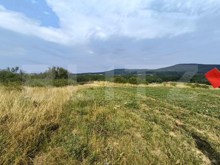 Teren extravilan, de vanzare, 6500 mp, zona Crasnei