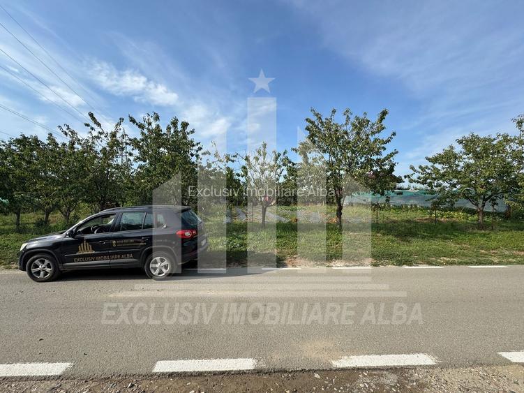 Teren intravilan | 1200 mp | 35 ml deschidere | Alba-Micesti - 2