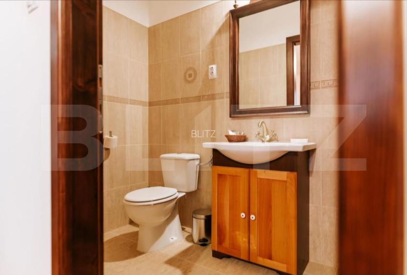 Conac de vanzare 7 camere cu bai proprii, crama, ciubar si potential  - 17