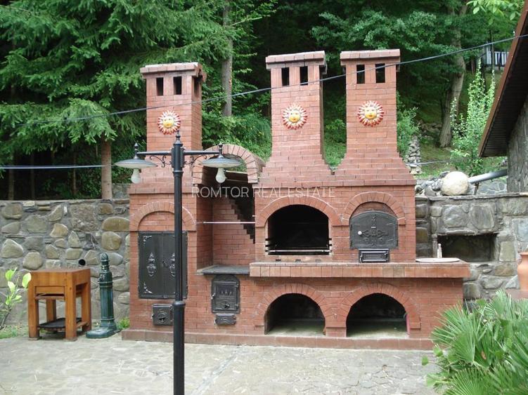 Campina Valea Doftanei Sotrile Paltinu - 25