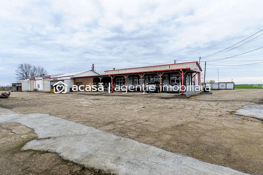 Hale depozitare/producție 2.000 mp si 10.000 mp teren în Pecica - 13