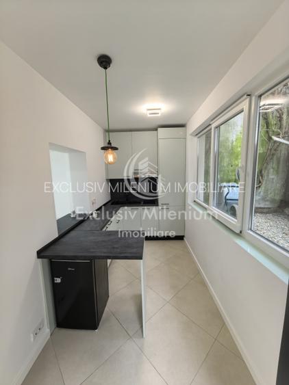 Parter Calea Victoriei -  Birouri Sfintii Voievozi întrare separata - 2