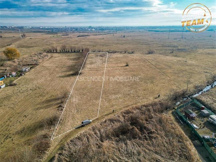 Teren extravilan de 5.800 mp in Sfantu Gheorghe:oportunitate Investie/Exploatare - 6