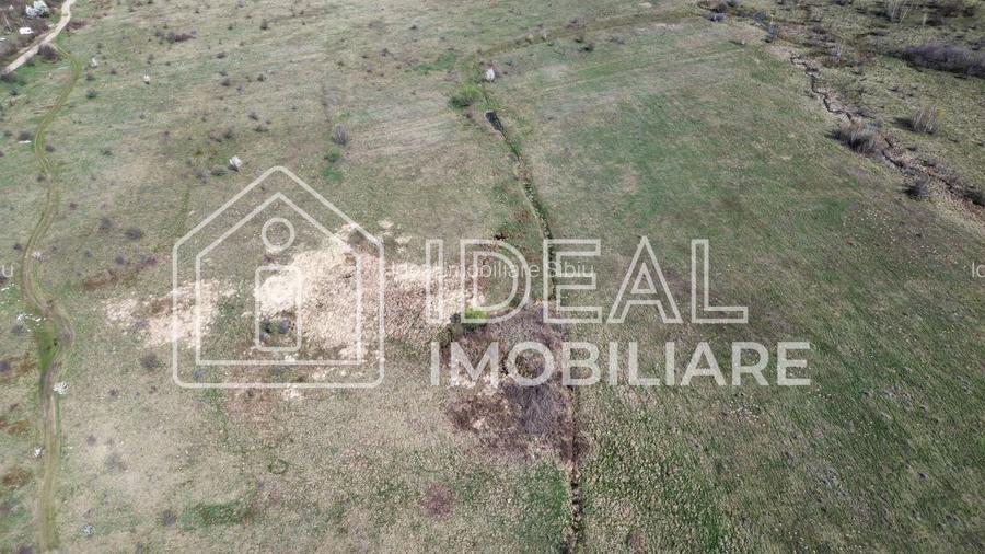 Teren 25.500 mp Valea Avrigului - 4