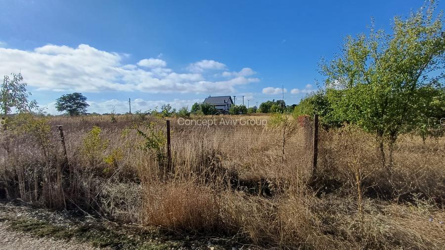 Teren Izvorani -Padure -COR - 9