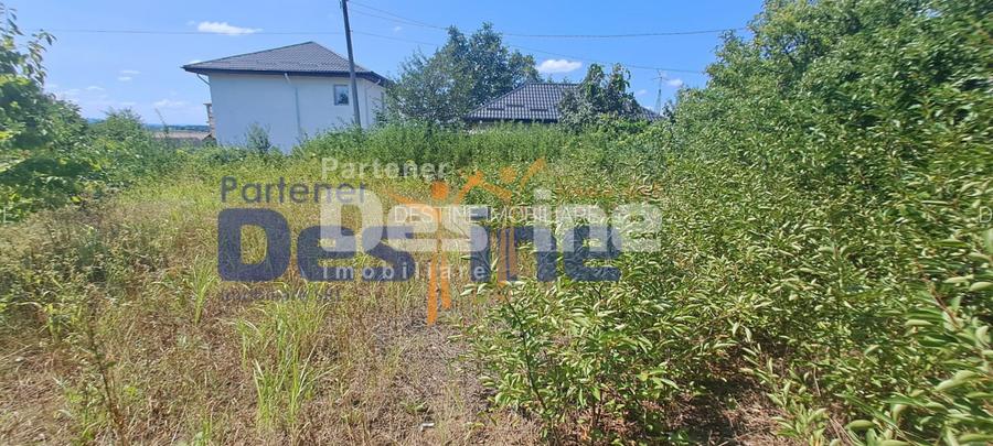 TEREN INTRAVILAN 1680 MP , MIROSLAVA CENTRU - 3