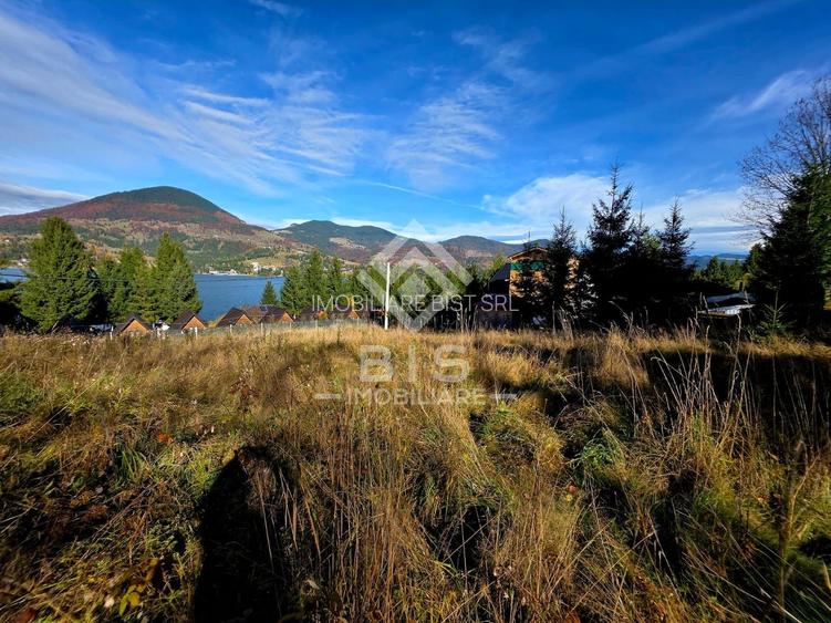 Teren de vanzare 12 ari - COLIBITA - 8