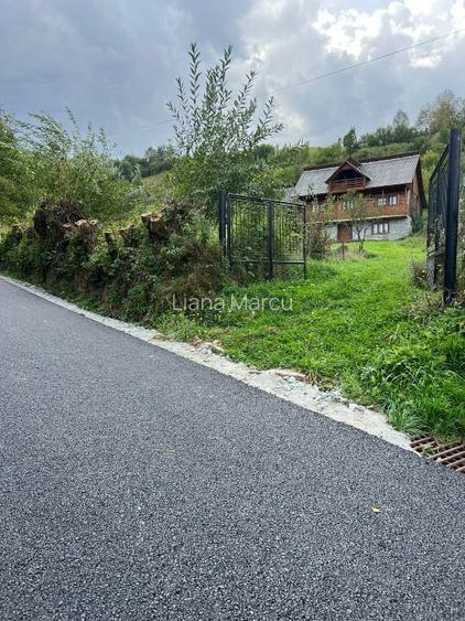 Vand cabana cu teren - 3