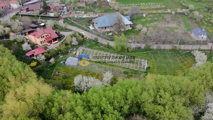 Vilă cu 8.800 mp teren în Gura Văii, la 12 km de Piatra Neamț - 4