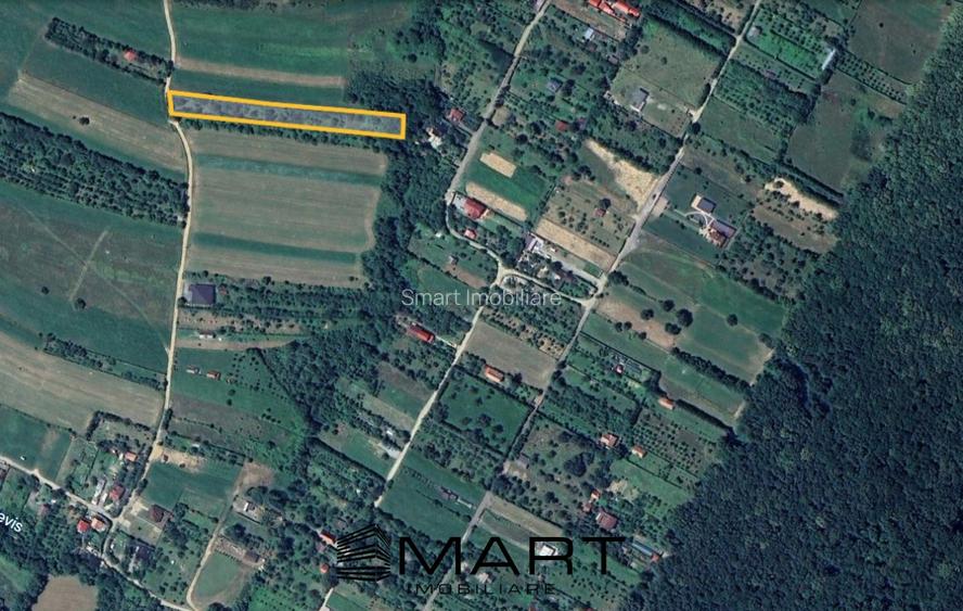 Teren extravilan 3200mp zona Tropinii Vechi - 3