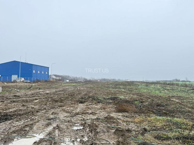 COMISION 0% | Teren Intravilan Covaci | 85 EURO/MP Zona in Dezvoltare - 2