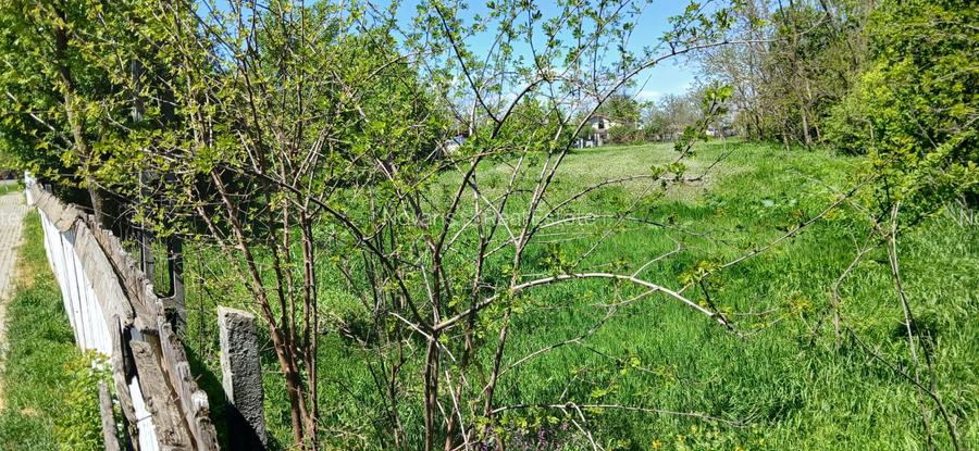 TEREN DE ÎNCHIRIAT / COLABORARE – ZONĂ STRATEGICĂ ÎN COMUNA SURAIA, JUDEȚUL VRAN - 4