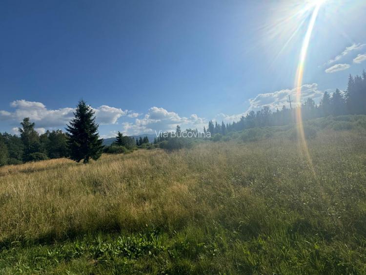   12700 mp investitie rezidentiala- turistica- medicala Tinovul Mic/Șaru Dornei  - 9